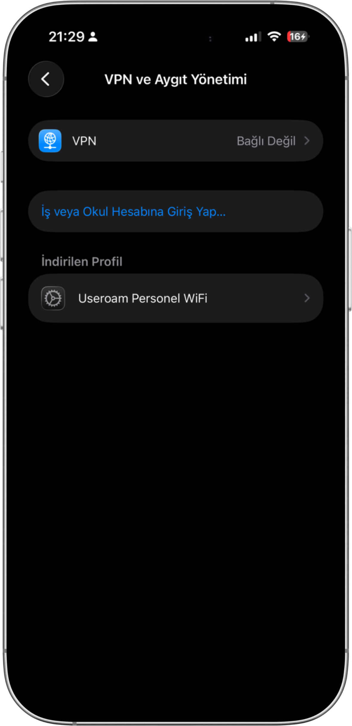 VPN & Device Management, Downloaded Profile