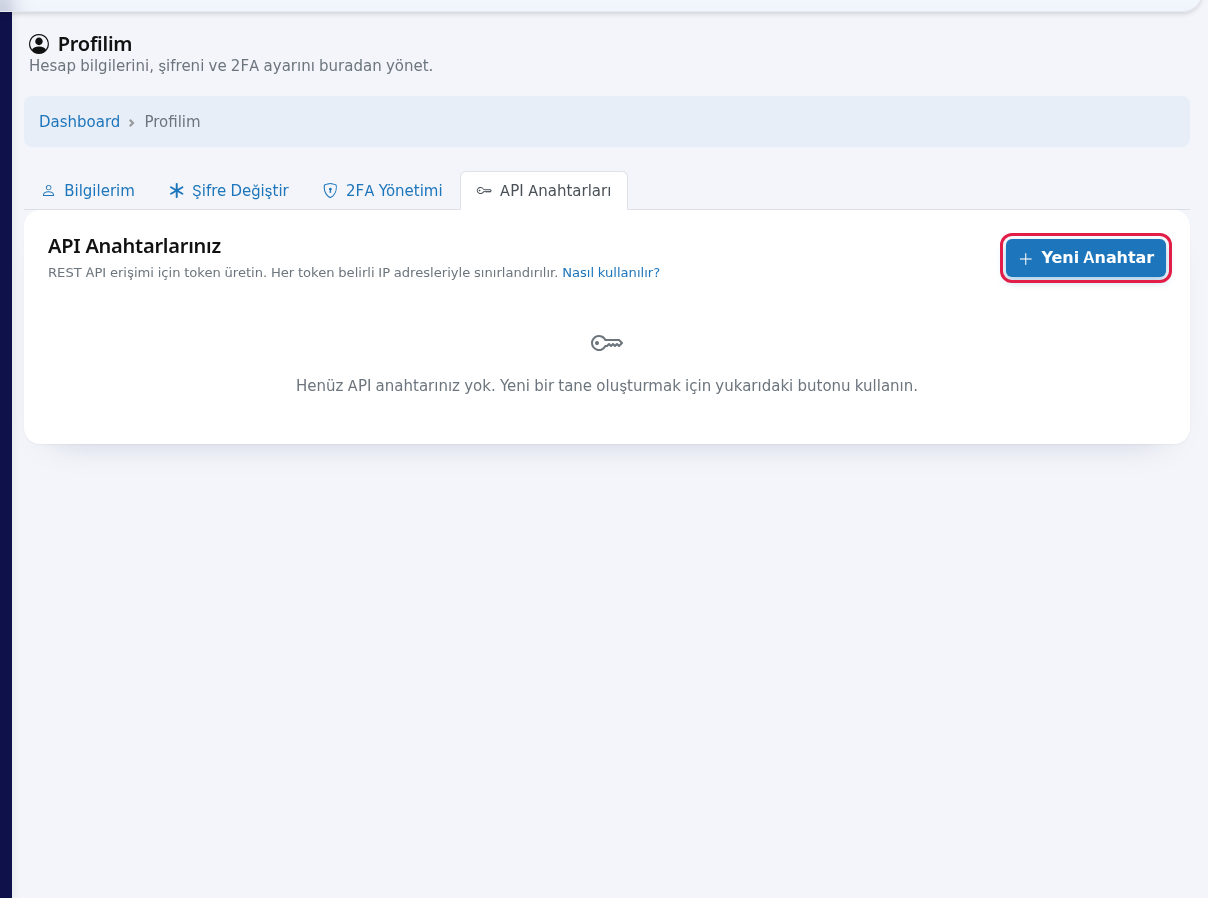 API Keys tab, empty state, New Key button highlighted