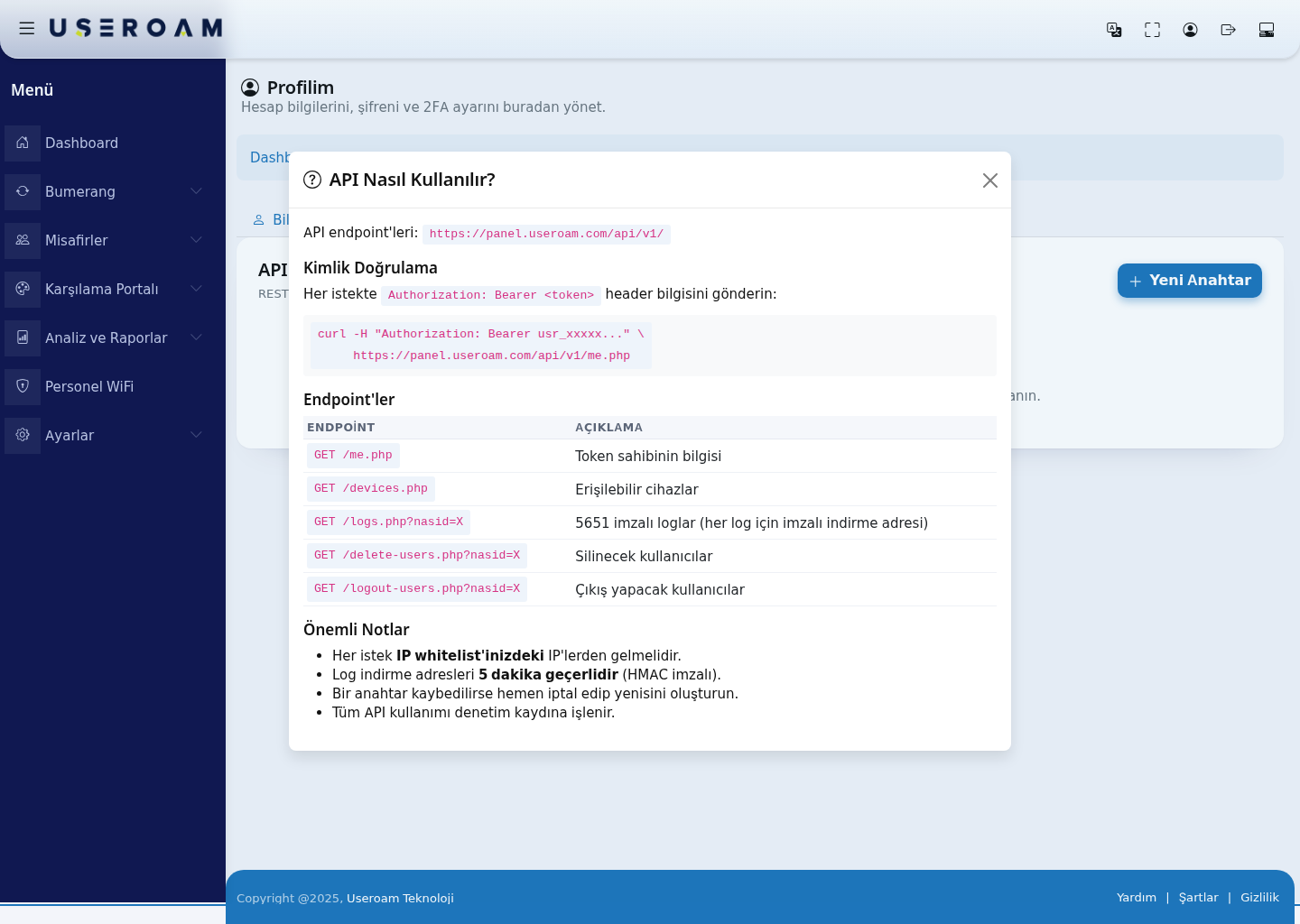 How to use the API window
