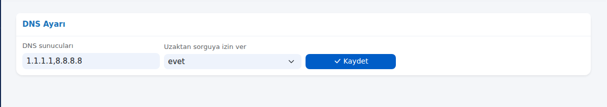DNS Ayarı kartı