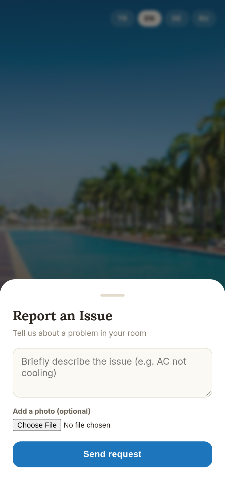 Report an Issue window