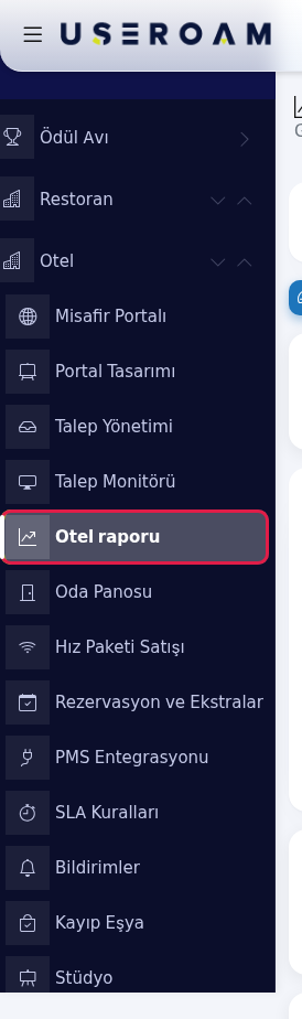 Sol menüde Otel raporu